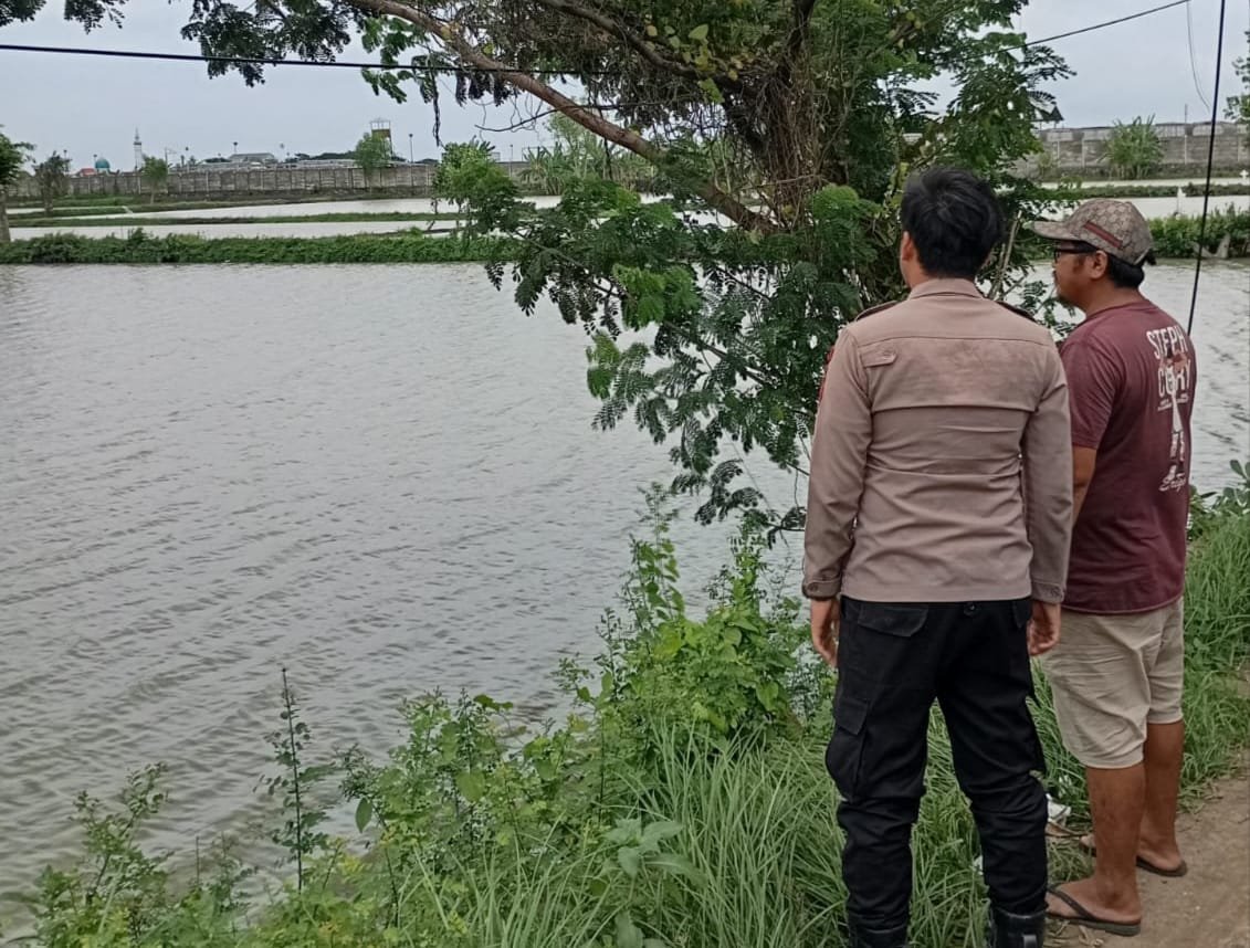 Dukung Program ketahanan pangan daerah, Polsek Duduksampeyan meninjau Tambak Ikan Bandeng di Desa Pandanan.