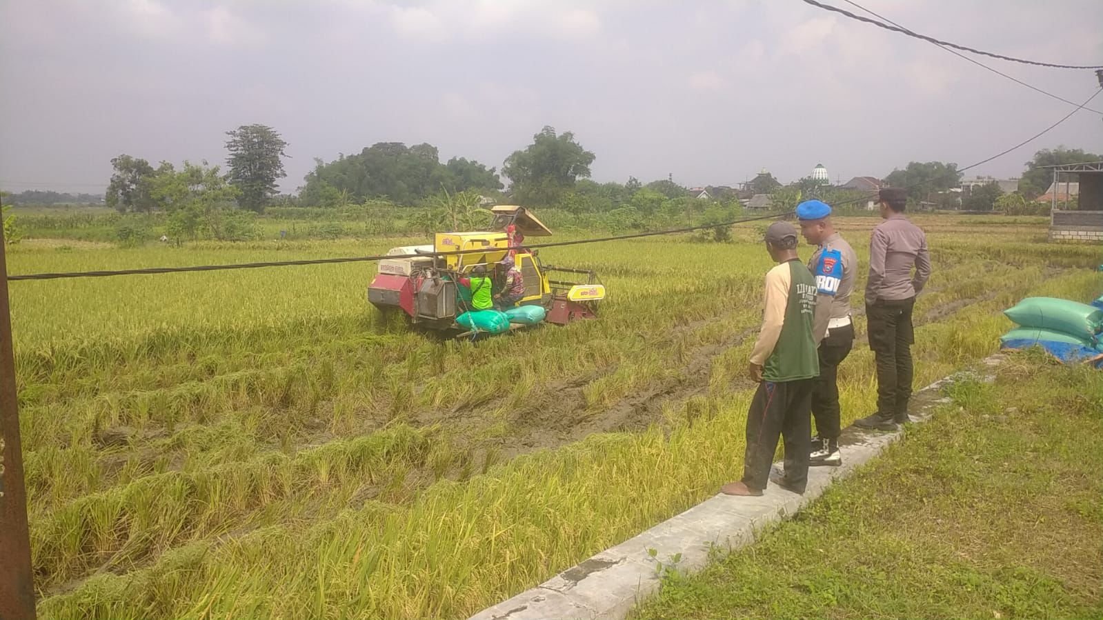 Perkuat Ketahanan Pangan, Polres Gresik Beri Pendampingan Petani di Wilayah Balongpanggang