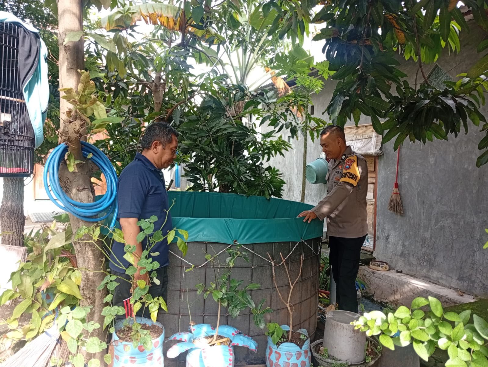 Dukung Swasembada Pangan, Sinergi Dengan Petani Tanam Tomat di Desa Manyarrejo