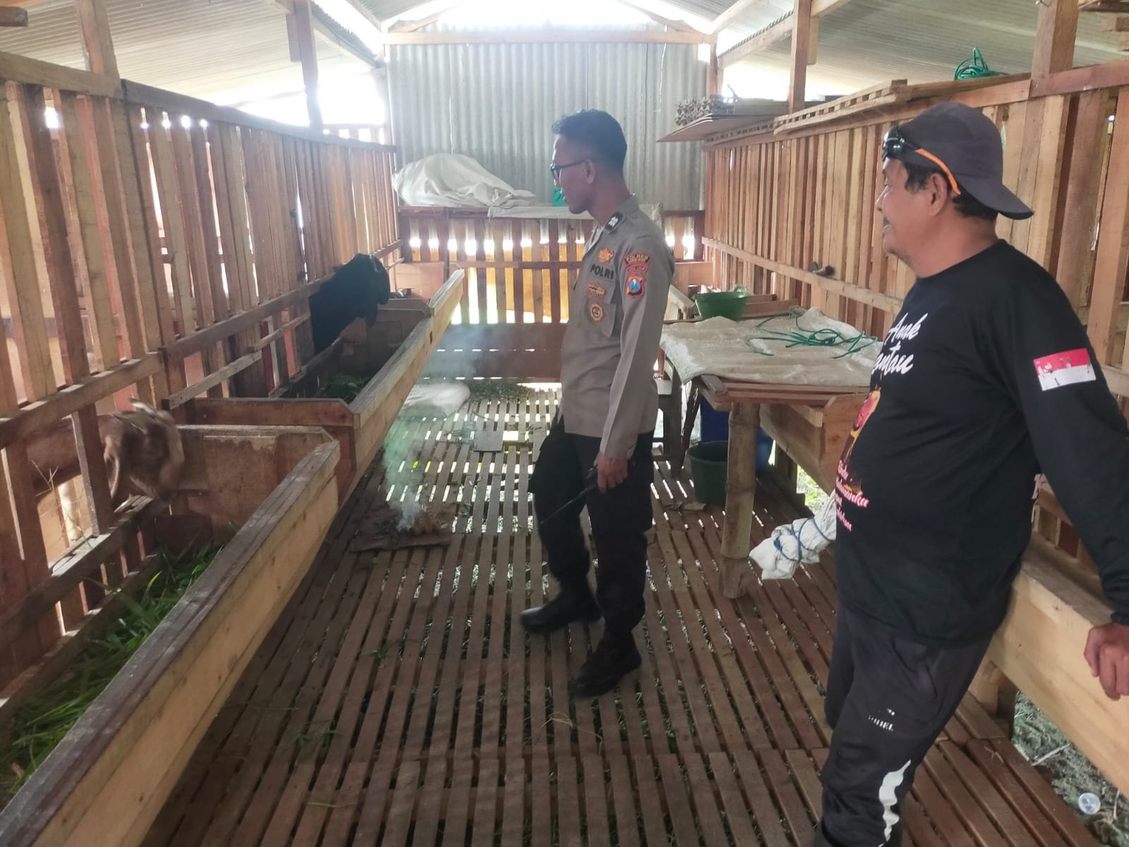 Sinergi Polri dan Peternak: Kapolsek Manyar Cek Kondisi Hewan Ternak di Gresik