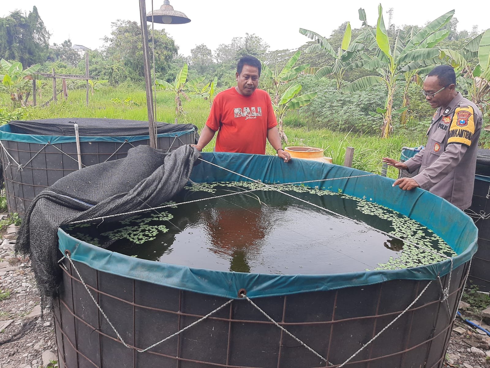 Dukung Program Asta Cita Presiden, Polsek Kebomas Monitoring Budidaya Lele di Gresik
