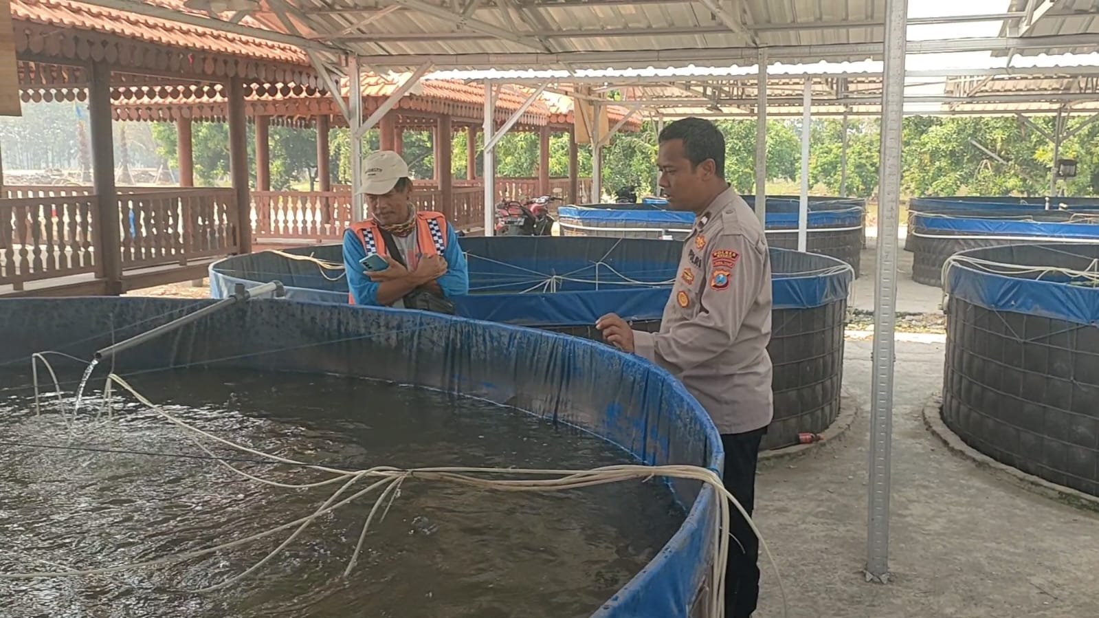 Polri Hadir untuk Petani Ikan, Polsek Sidayu Monitoring Budidaya Lele di Lasem