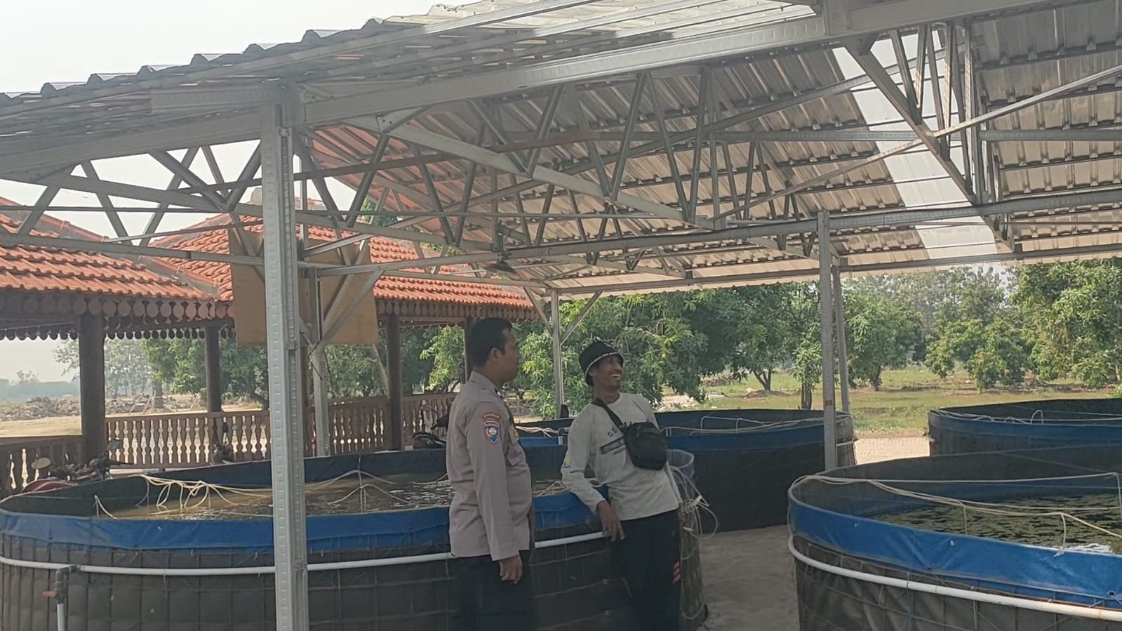 Implementasikan Program Ketahanan Pangan Nasional, Polsek Sidayu Pantau Budidaya Lele Warga