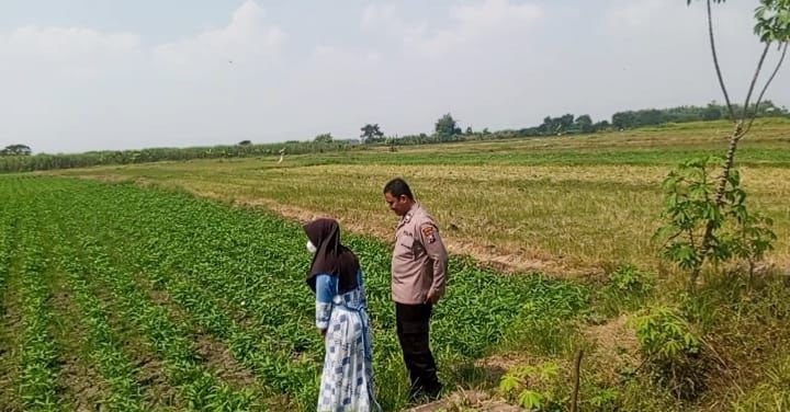 Bhabinkamtibmas Kedungpring Dampingi Petani Kangkung untuk Perkuat Swasembada Pangan