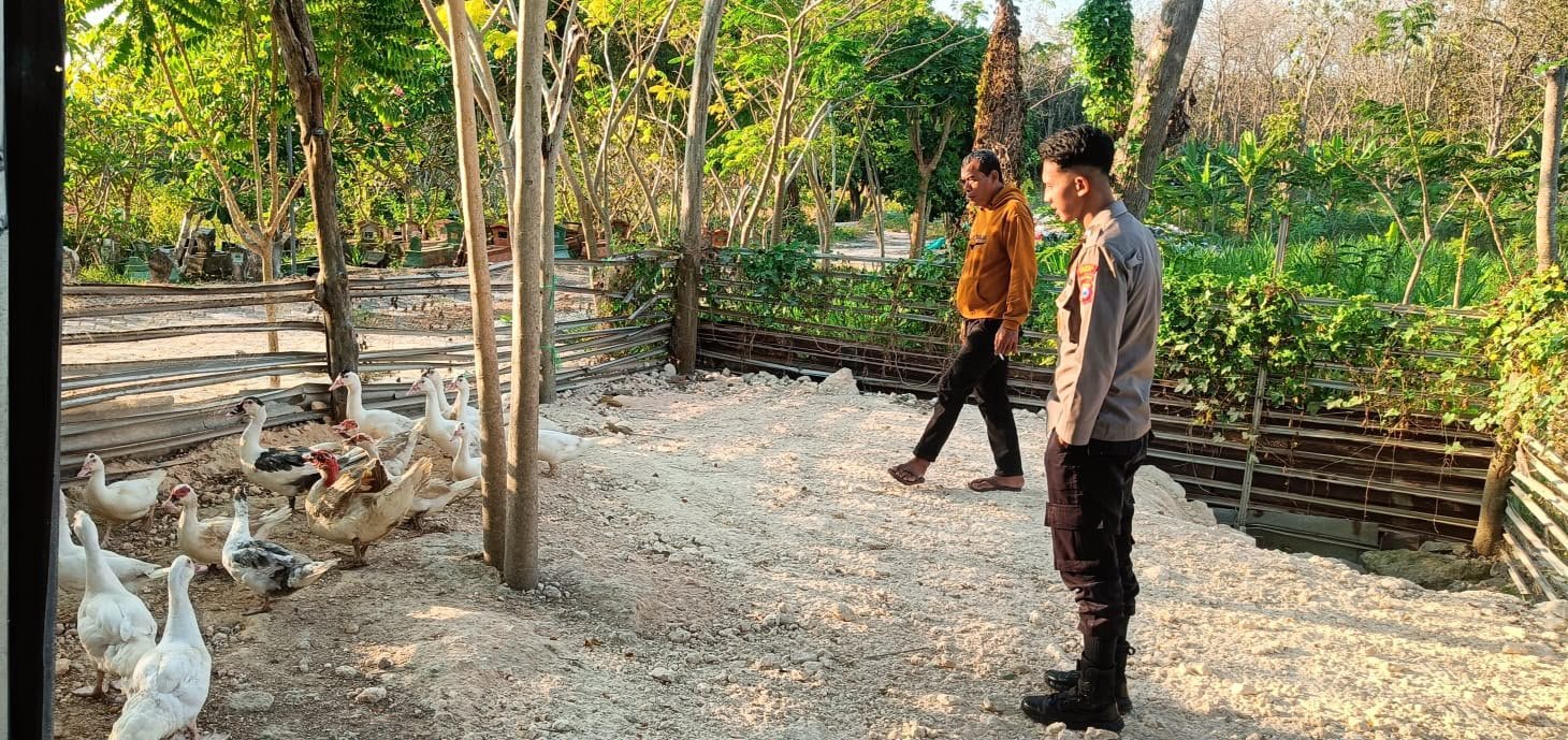 Komitmen Dukung Asta Cita, Polres Gresik Beri Pendampingan kepada Peternak Bebek