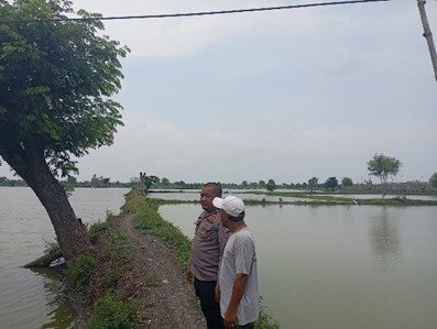 Perkuat Swasembada Pangan Nasional, Polsek Duduksampeyan Dampingi Pembudidaya Tambak Ikan