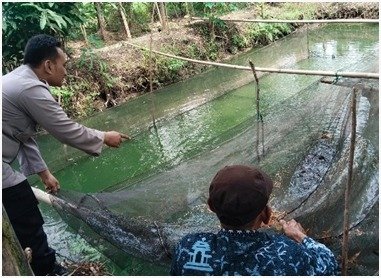 Polri Hadir untuk Ketahanan Pangan, Polsek Benjeng Pantau Budidaya Lele di Desa Bengkelolor