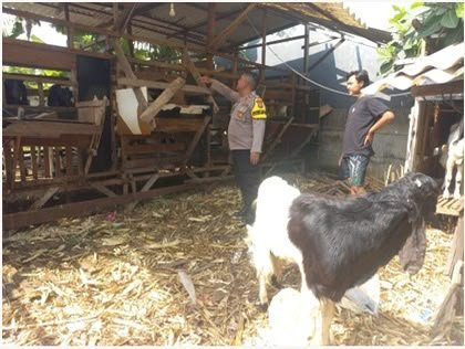Polres Gresik Pantau Peternakan Kambing di Dukun