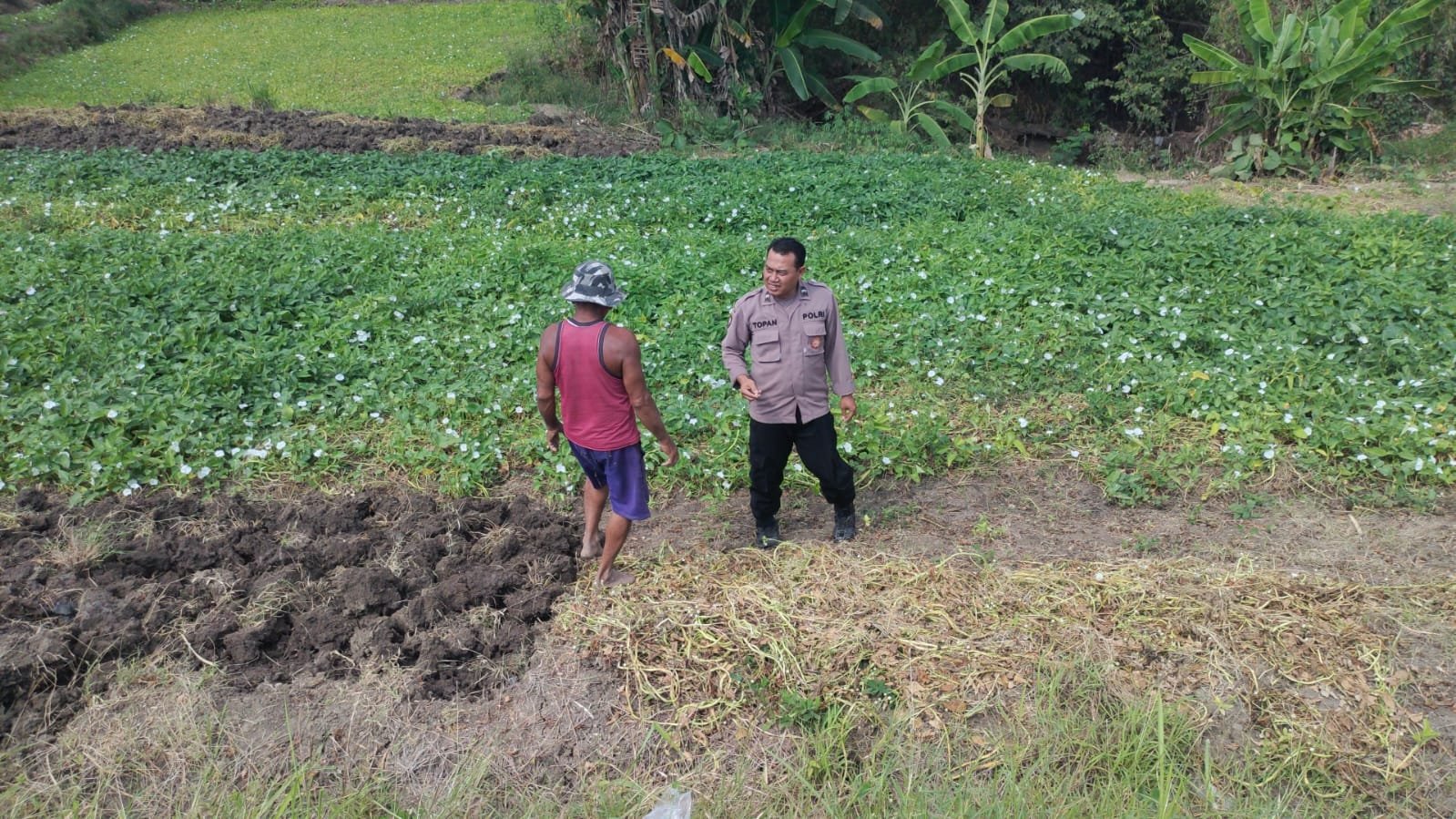 Dukung Program Asta Cita, Polsek Balongpanggang Intensif Awasi Budidaya Kangkung