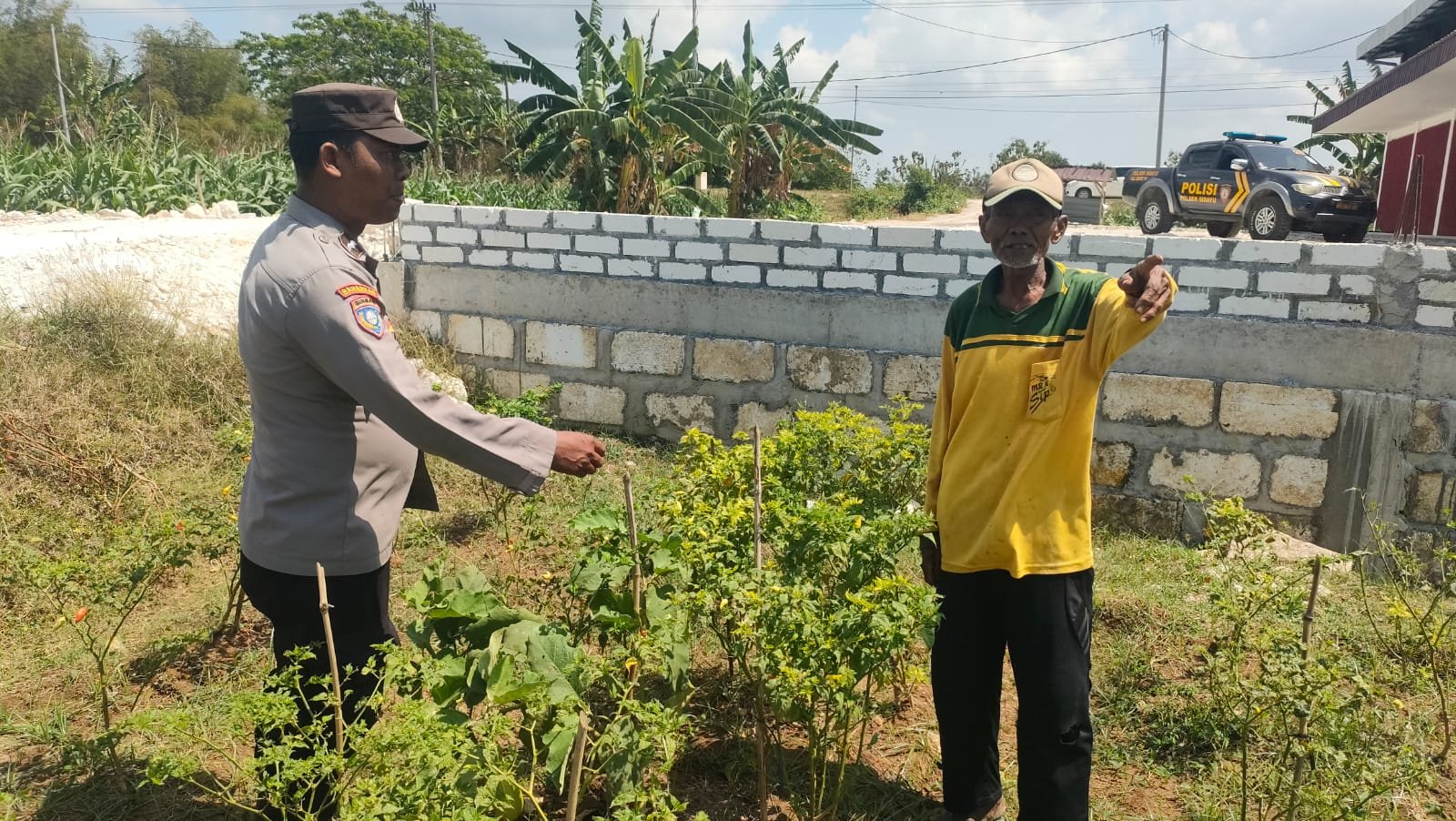 Polsek Sidayu Aktif Dukung Ketahanan Pangan, Tanaman Cabai di Wadeng Dipantau