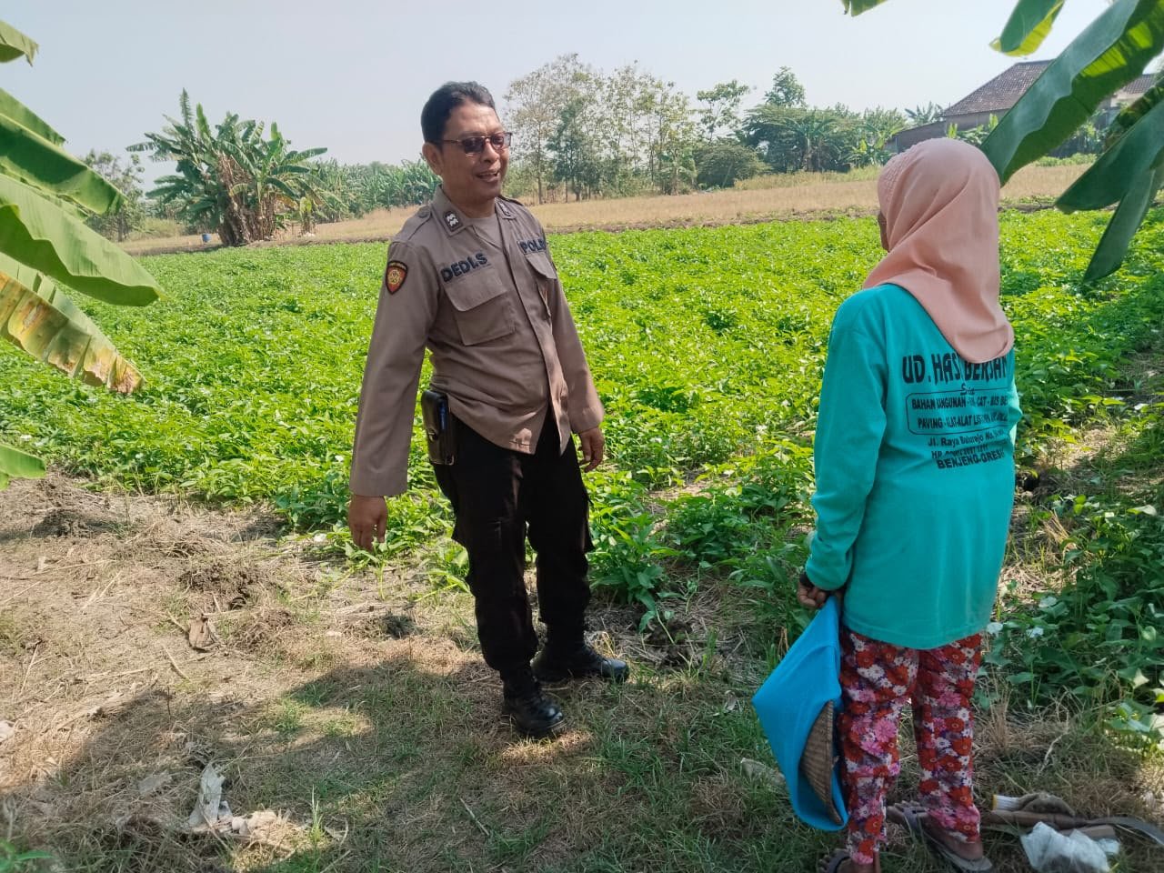 Dukung Asta Cita, Polsek Benjeng Cek Perkembangan Tanaman Kangkung