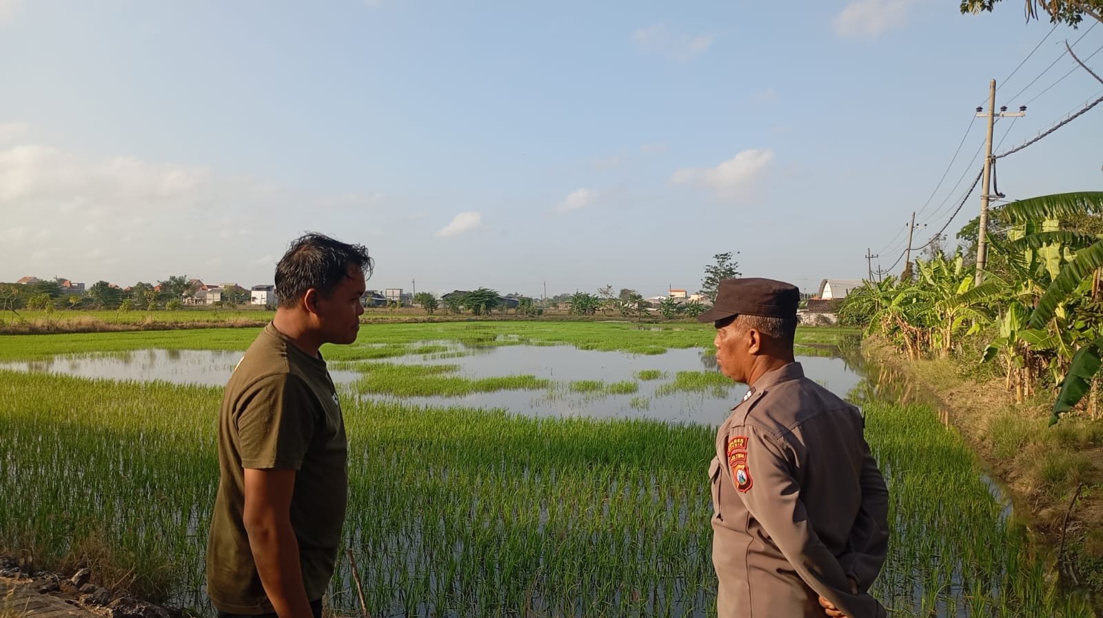 Sinergi Bersama Petani, Polsek Duduksampeyan Pantau Tanaman Padi di Desa Sumengko