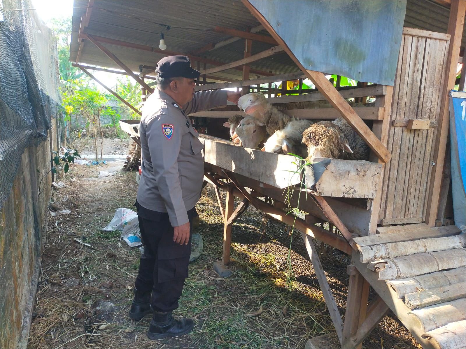 Polsek Dukun Monitoring Ternak Kambing di Desa Mentaras, Dukung Ketahanan Pangan