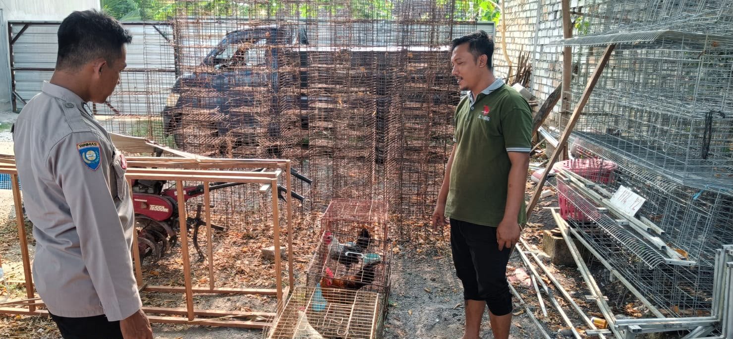 Polsek Panceng Cek Peternakan Ayam Kampung Petelur, Dukung Ketahanan Pangan Nasional