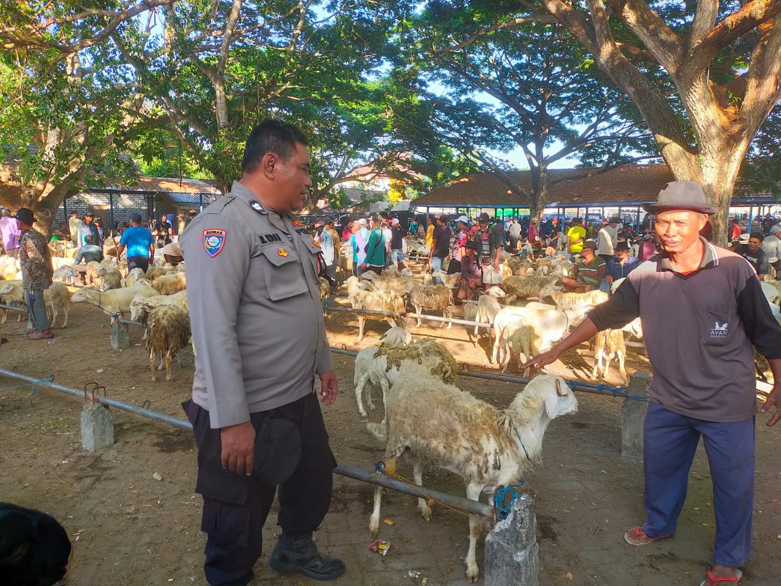 Polsek Dukun Cek Pasar Kambing Kencana, Dukung Ketahanan Pangan di Kabupaten Gresik
