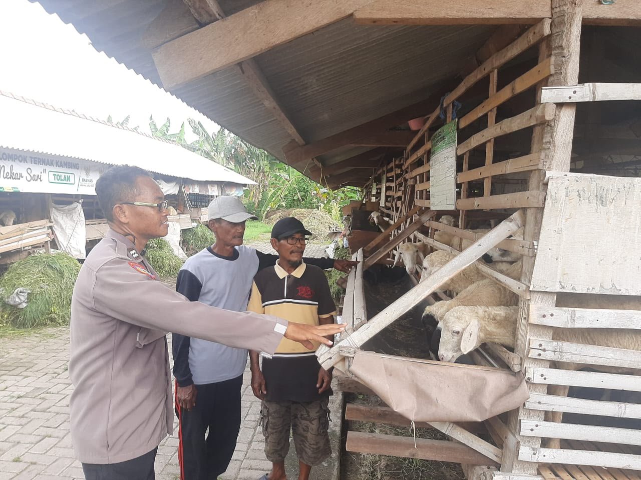 Polsek Kebomas Dorong Pengembangan Peternakan Kambing untuk Perkuat Ketahanan Pangan