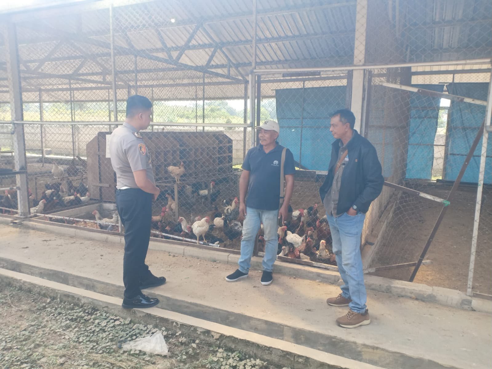 Komitmen Polri Wujudkan Swasembada Pangan, Polsek Kedamean Turun Langsung ke Peternak Ayam