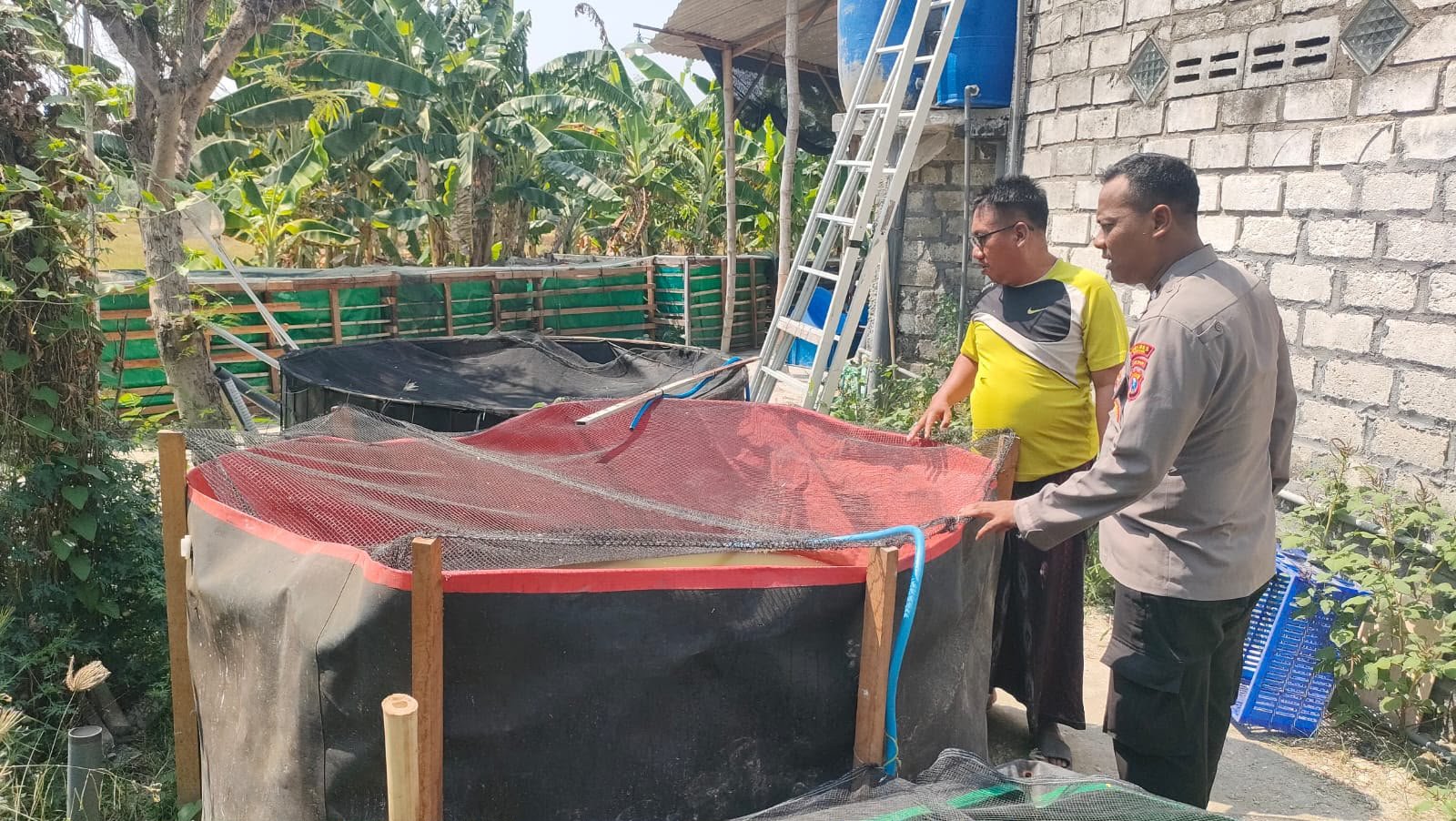 Perkuat Pangan Lokal, Polsek Sidayu Mendampingi Peternak Lele di Desa Ngawen