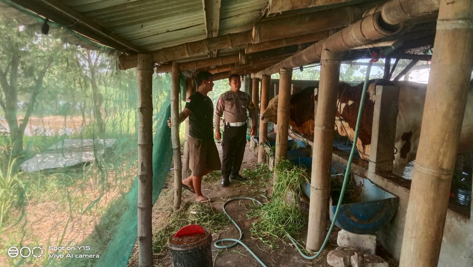 Perkuat Ketahanan Pangan, Polsek Driyorejo Turun Langsung Cek Peternakan Sapi