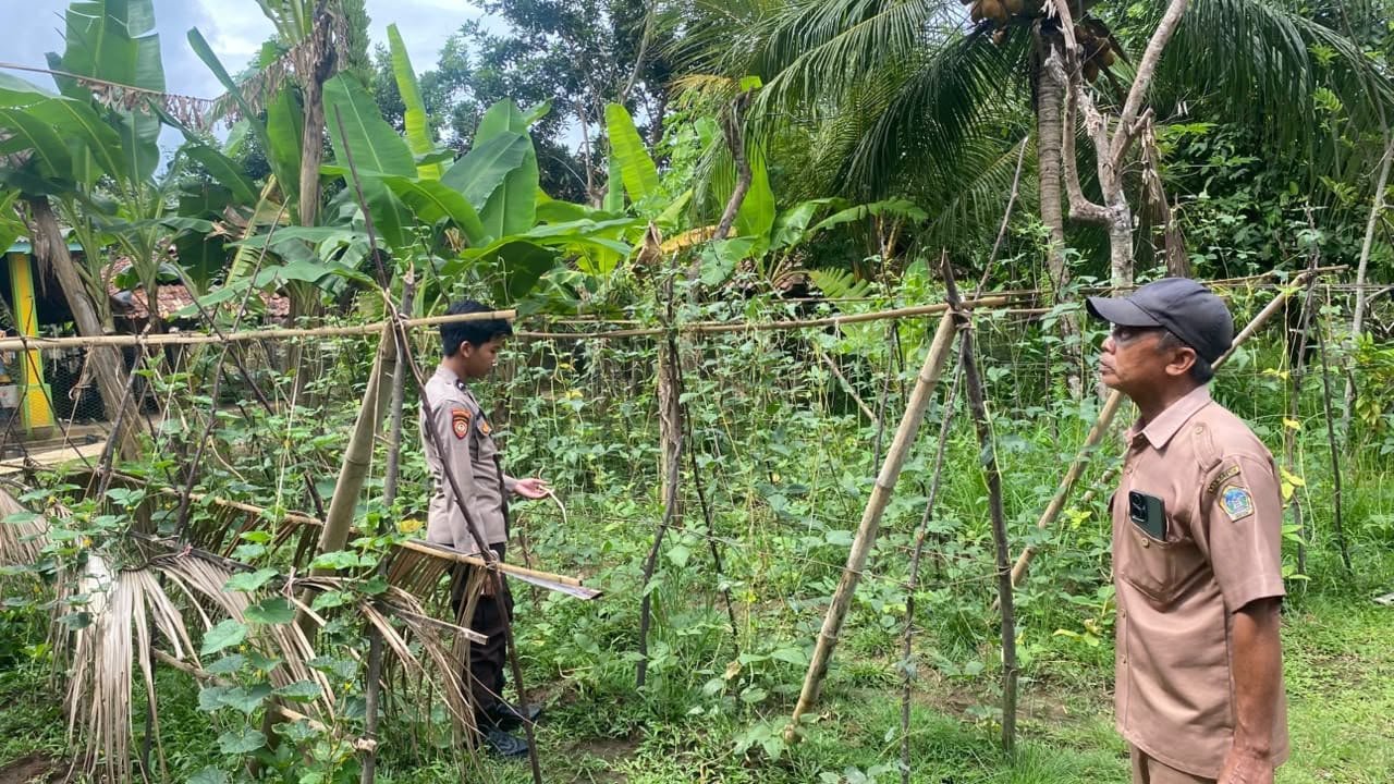 Pastikan Produktivitas Pertanian, Polsek Sangkapura Pantau Budidaya Kacang Panjang
